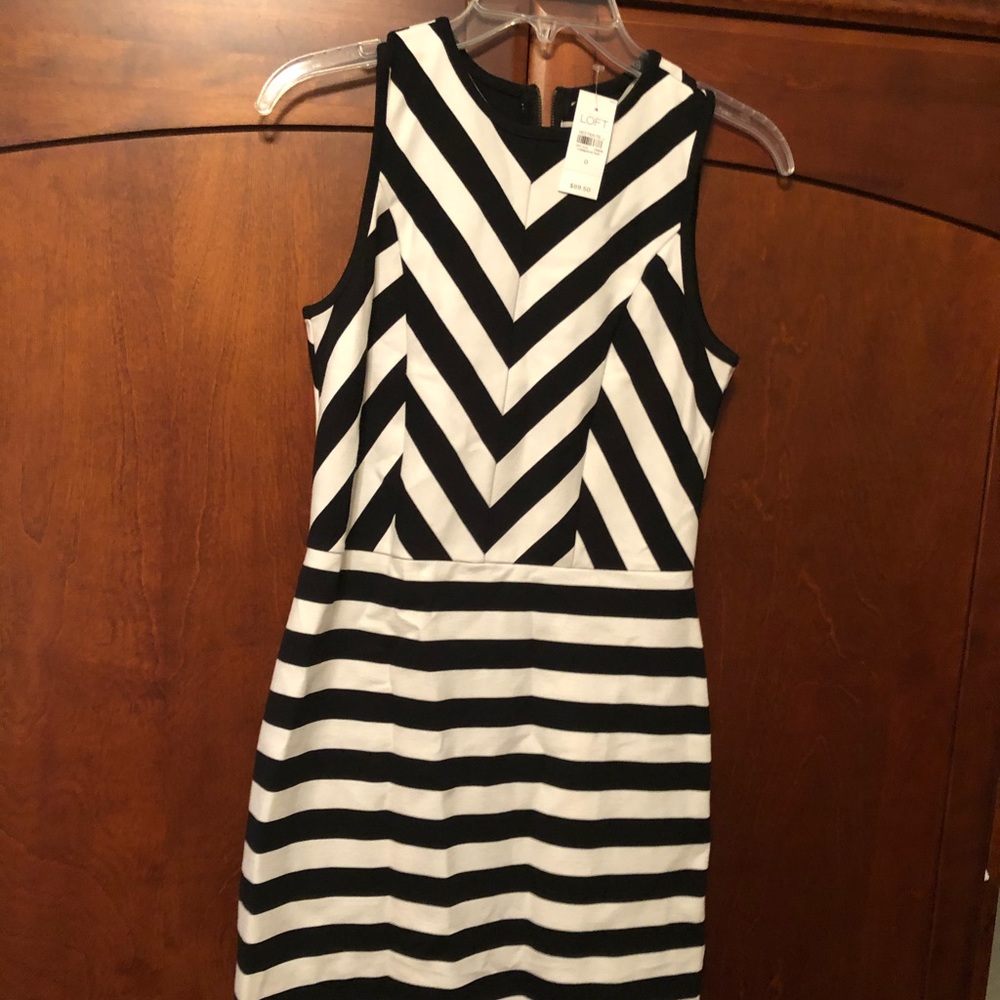 NWT- Loft sleeveless black/white dress